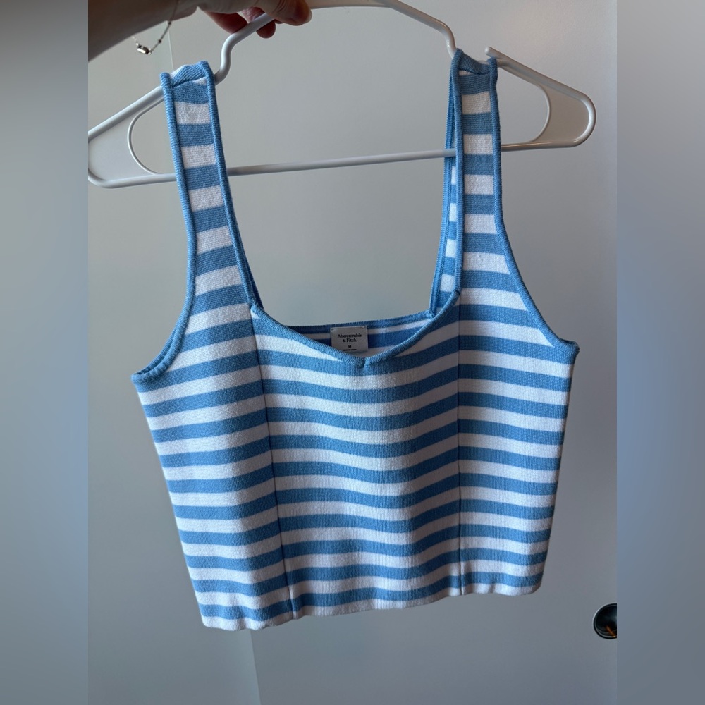 Abercrombie & Fitch Blue and White Striped Crop Top